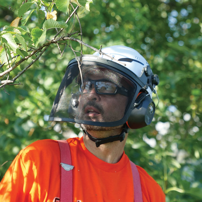 Face Shield, Mesh