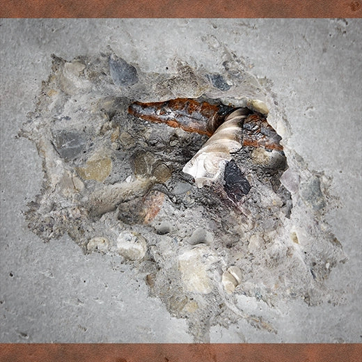 SDS Plus 4CT MX4™ 3/16" X 4" X 6" Bulk 15